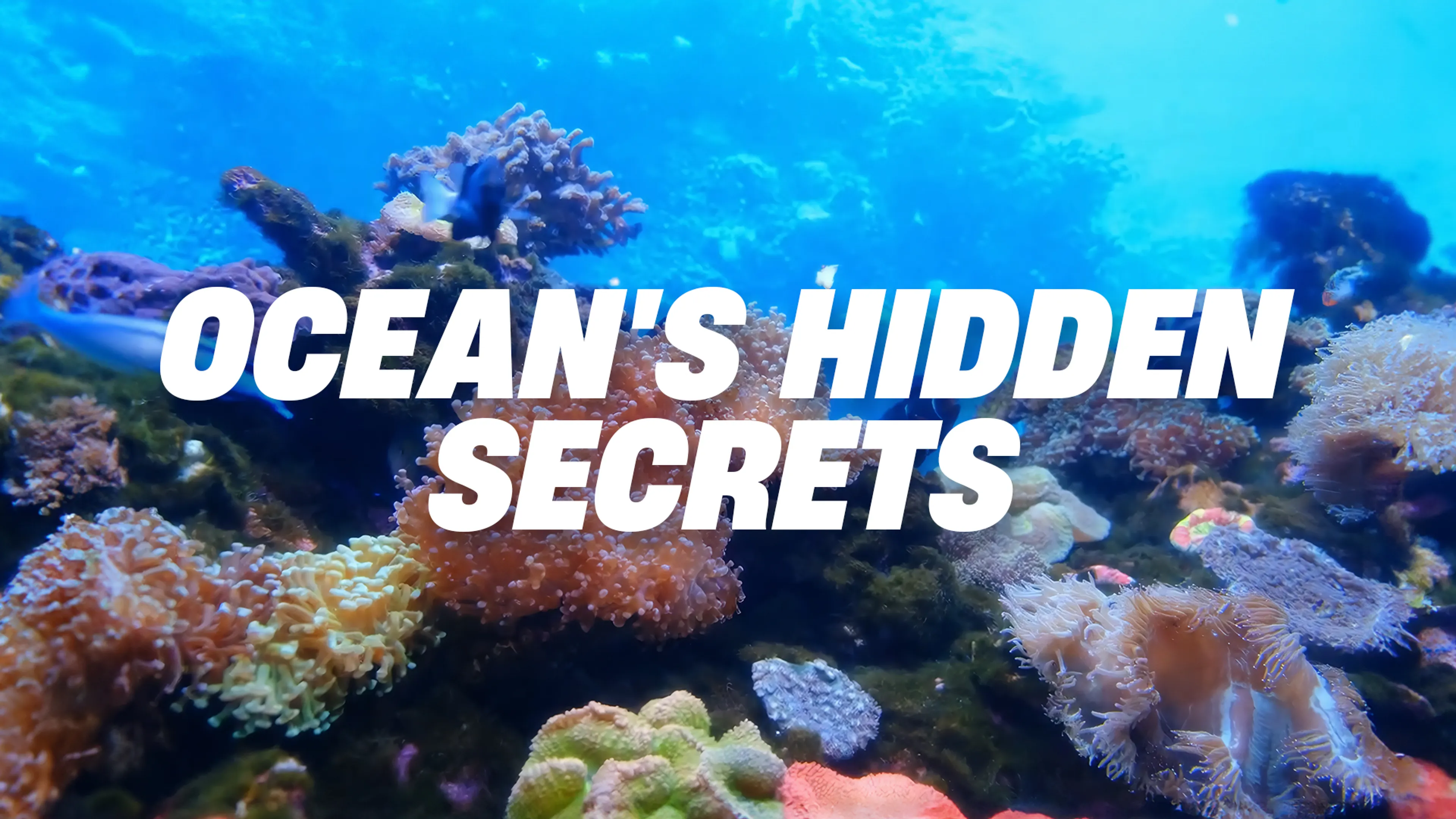 Ocean's Hidden Secrets poster